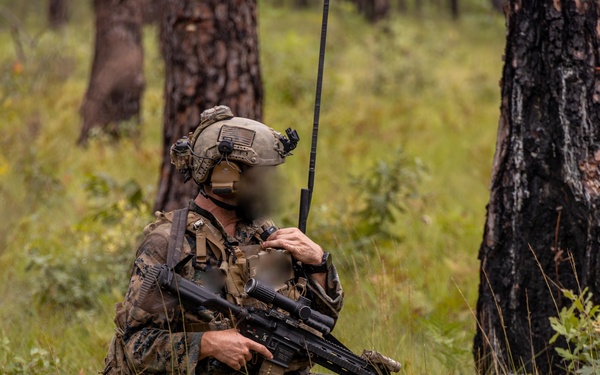Marines with Infantry Unit Leaders Course participate in a combined arms live fire exercise