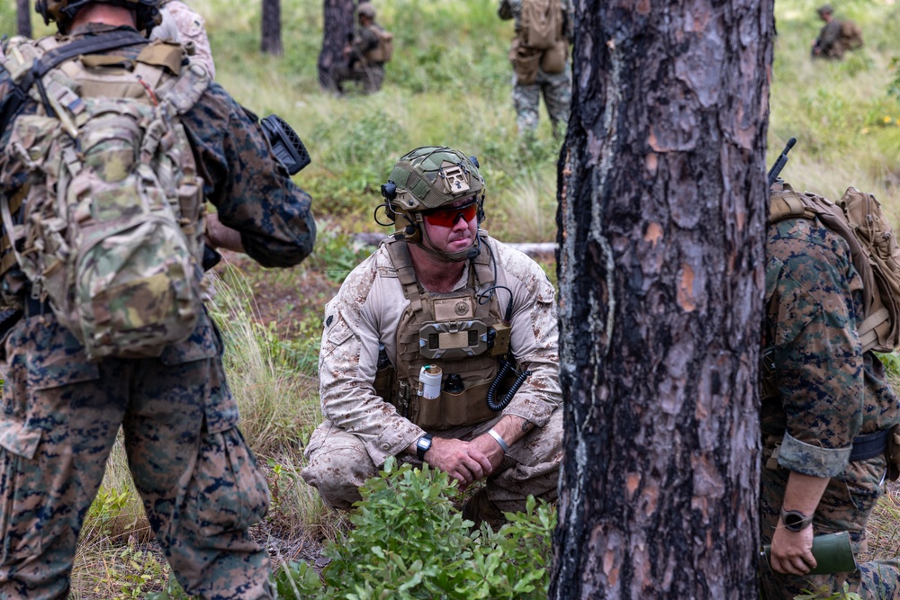 Marines with Infantry Unit Leaders Course participate in a combined arms live fire exercise