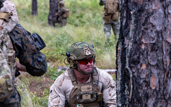 Marines with Infantry Unit Leaders Course participate in a combined arms live fire exercise