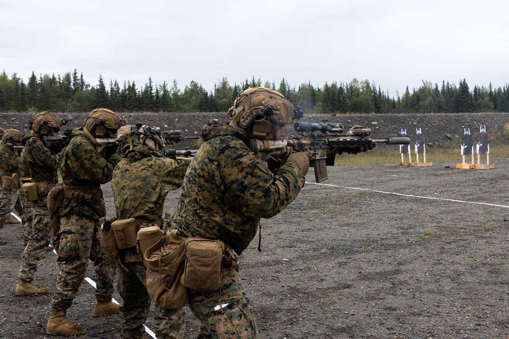 U.S. Marines with 3rd Bn., 4th Marines, Det. Delta Co., 4th LE, Bn., MARFORRES fire M320 grenade launchers, M27 IAR during ARCTIC EDGE 2025