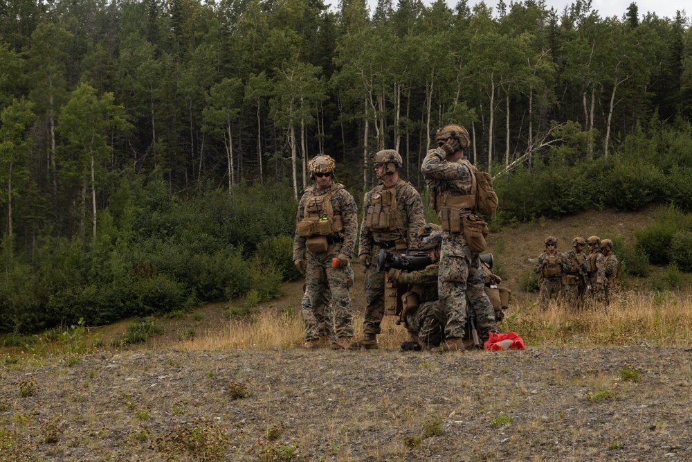U.S. Marines with 3rd Bn., 4th Marines operate M3E1 Multi-purpose Anti-Armor Anti-Personnel Weapons System (MAAWS) during ARCTIC EDGE 2025