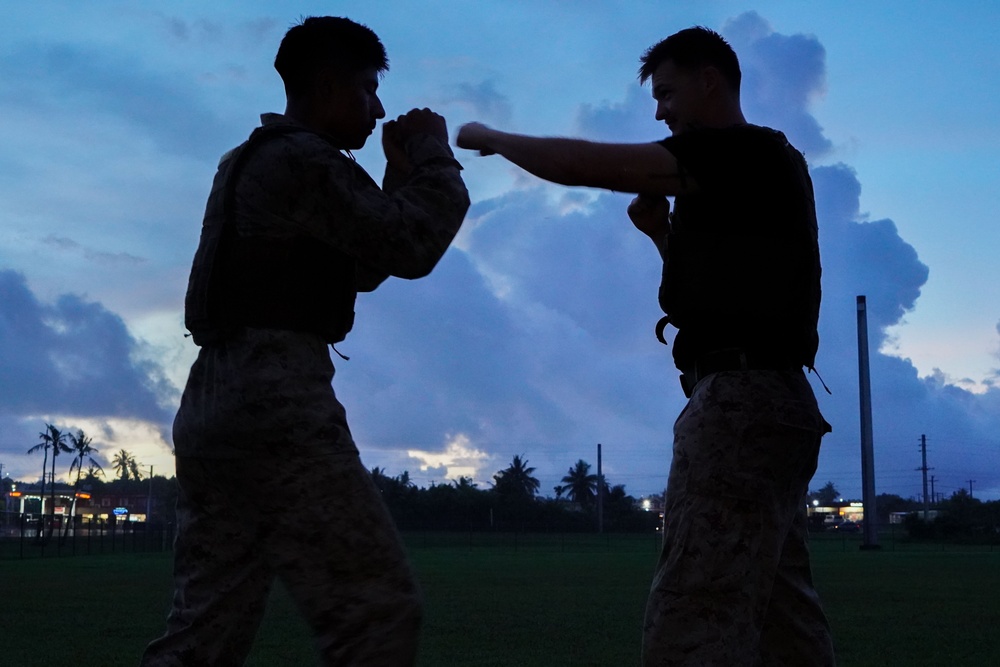 Camp Blaz Marines participate in a MCMAP grey belt test