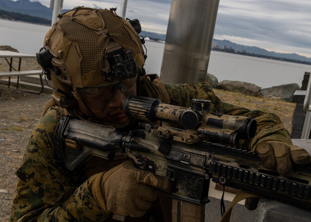 U.S. Marines with 3rd Bn., 4th Marines, U.S. Coast Guardsmen with PSU 113 conduct amphibious raid during ARCTIC EDGE 2025