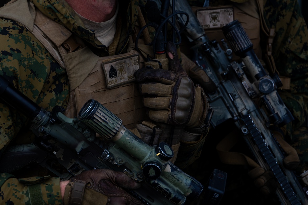 U.S. Marines with 3rd Bn., 4th Marines, U.S. Coast Guardsmen with PSU 113 conduct amphibious raid during ARCTIC EDGE 2025