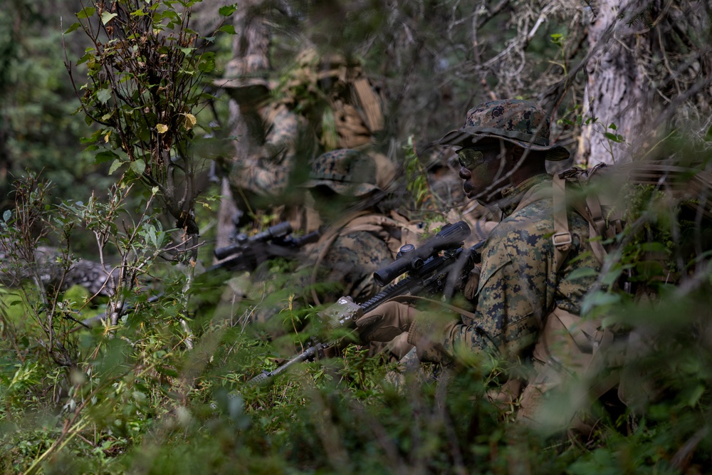 U.S. Marine with 3rd Bn., 4th Marines, conduct patrol base operations during ARCTIC EDGE 2025