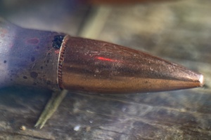 Tanuki Wrath 2021 (Radio)