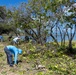 Give Back to Nature: Volunteer Cleanup at Nu’upia Fishponds