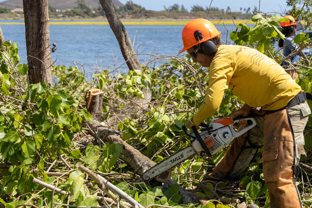 Give Back to Nature: Volunteer Cleanup at Nu’upia Fishponds