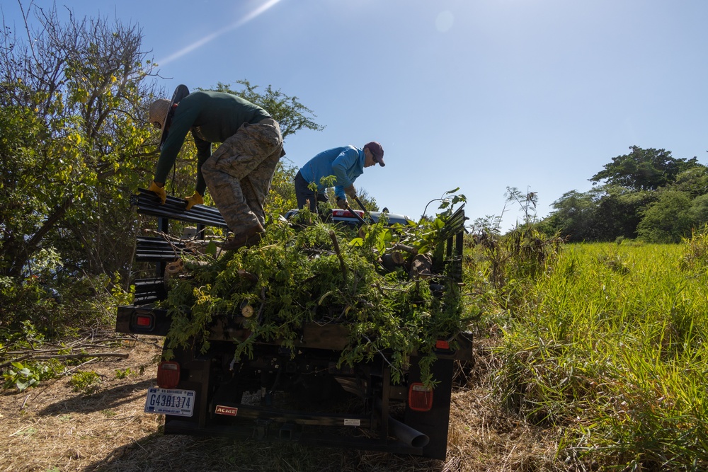 Give Back to Nature: Volunteer Cleanup at Nu’upia Fishponds