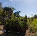 Give Back to Nature: Volunteer Cleanup at Nu’upia Fishponds