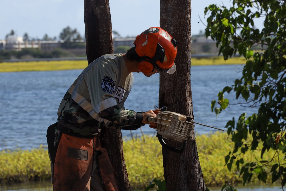 Give Back to Nature: Volunteer Cleanup at Nu’upia Fishponds