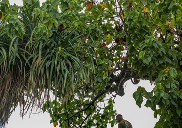 Semper Fi &amp; Sanitize: Koa Moana Marines and Sailors Clean Dekehtik Causeway With Naval Mobile Construction Battalion 4