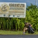 Semper Fi &amp; Sanitize: Koa Moana Marines and Sailors Clean Dekehtik Causeway With Naval Mobile Construction Battalion 4