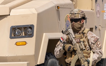 BRIGHT STAR 25: weapons demonstration and static display