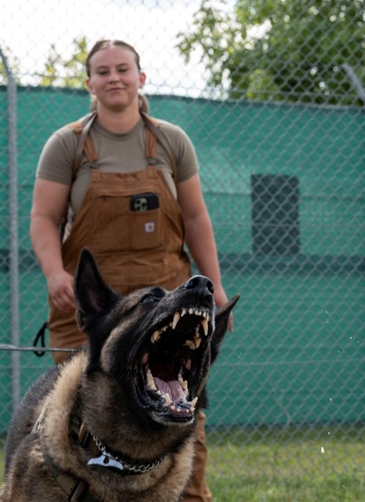 Joint K-9 Training