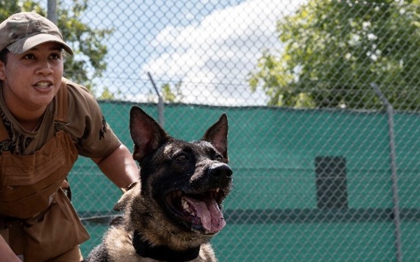 Joint K-9 training