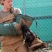 Joint K-9 training