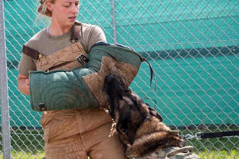 Joint K-9 training