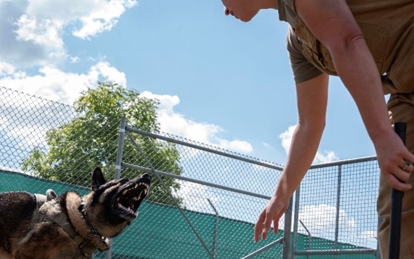 Joint K-9 training