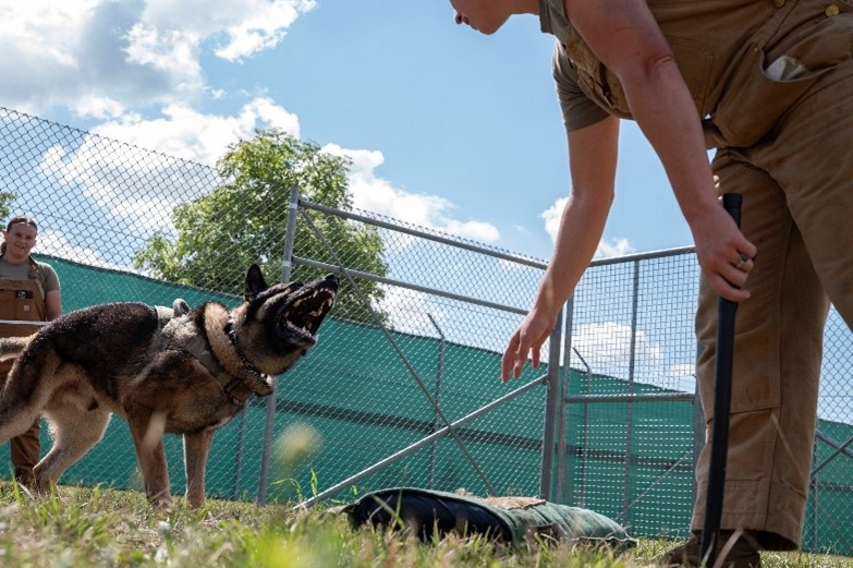 Joint K-9 training
