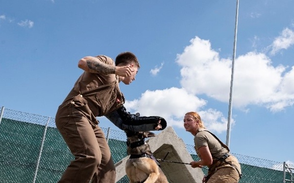 Joint K-9 training
