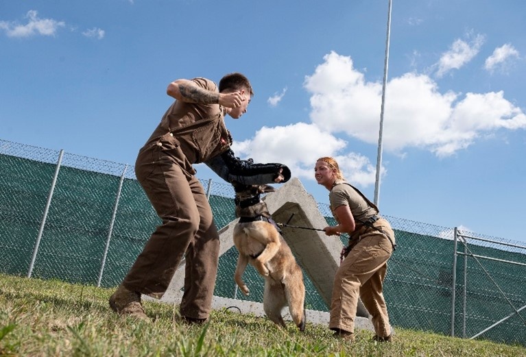 Joint K-9 training