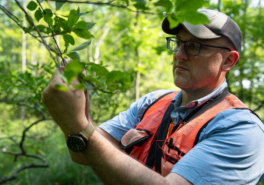 Rapid Ecological Assessment | New York