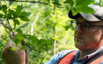 Rapid Ecological Assessment | New York