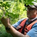 Rapid Ecological Assessment | New York