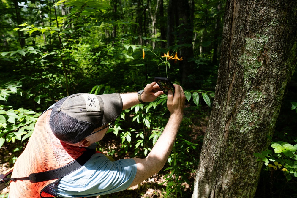 Rapid Ecological Assessment | New York