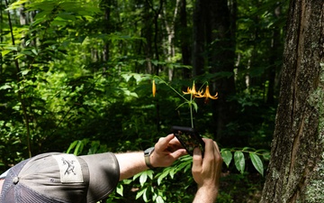 Rapid Ecological Assessment | New York