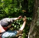 Rapid Ecological Assessment | New York