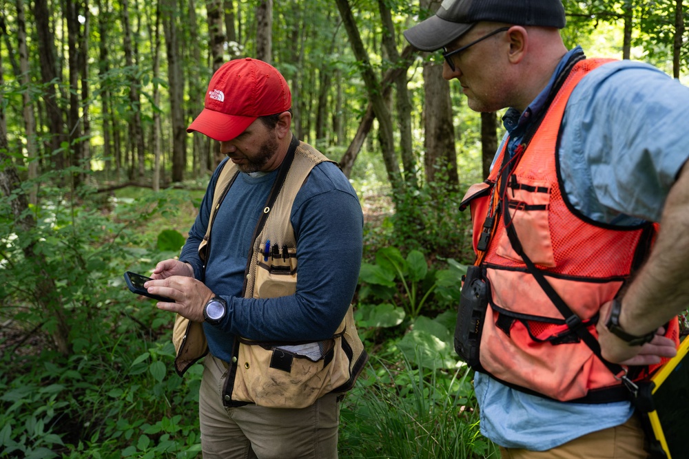 Rapid Ecological Assessment | New York