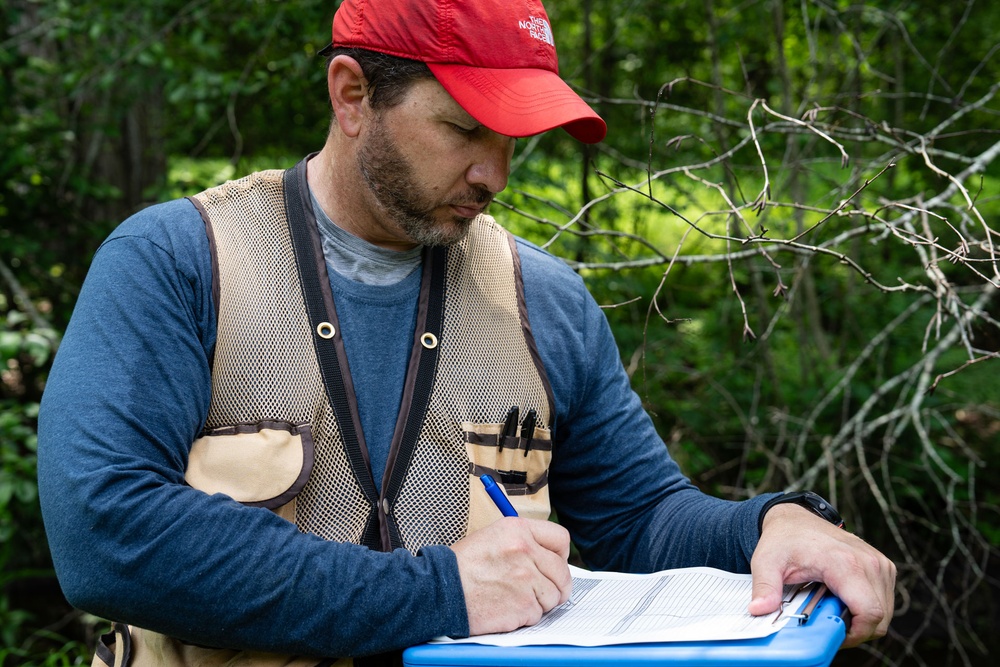 Rapid Ecological Assessment | New York