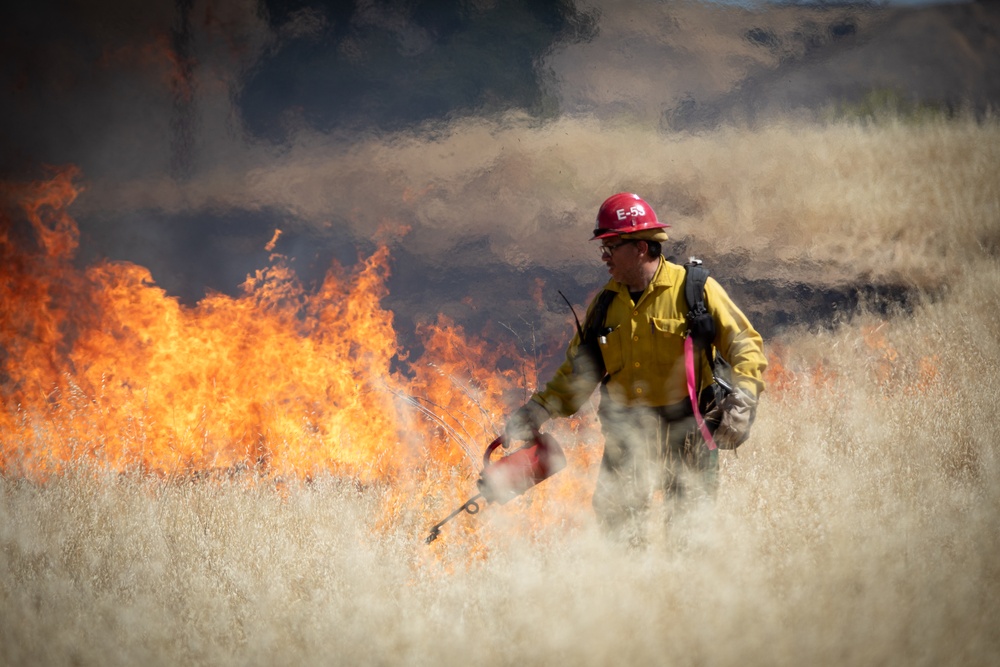 Los Padres Fire School
