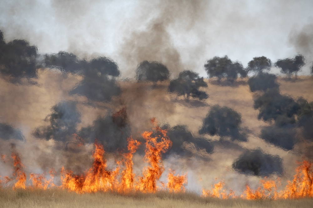 Los Padres Fire School