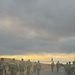 PRFTA’s DPTMS Supports Warfighter Readiness in the Bay Area