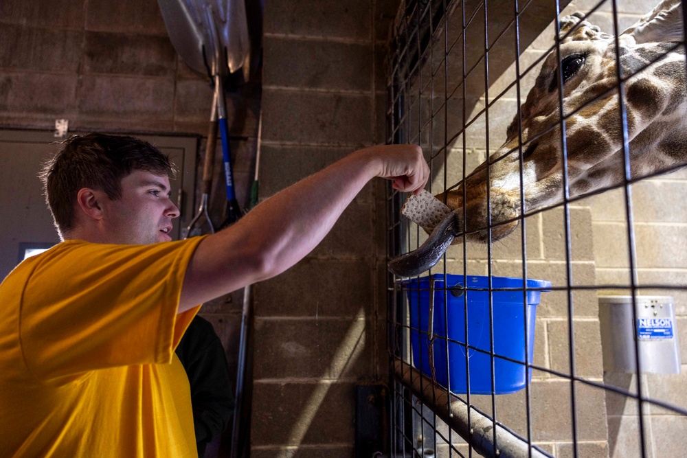 Navy Sailors Volunteer at Dickerson Park Zoo During Springfield-Branson Navy Week