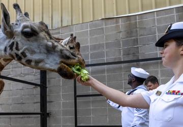 Navy Sailors Volunteer at Dickerson Park Zoo During Springfield-Branson Navy Week