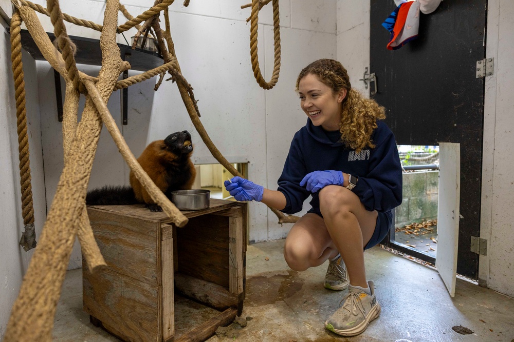 Navy Sailors Volunteer at Dickerson Park Zoo During Springfield-Branson Navy Week