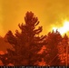 Tahoe Forest Products