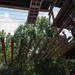 Marine Week Atlanta 2025: Camp Southern Ground