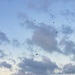 U.S. Marines With 4th Recon Conduct Parachute Operations At KTA
