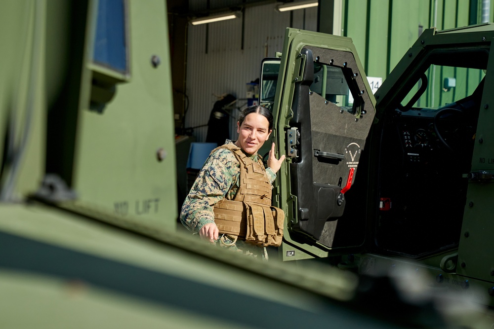 U.S. Marines prepare for Norwegian-led arctic operations