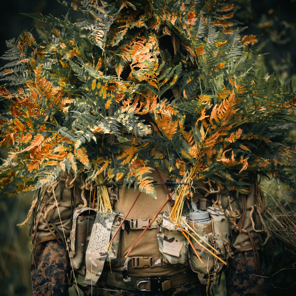 U.S. and Swedish Marines share weapons skills