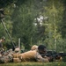 U.S. and Swedish Marines share weapons skills