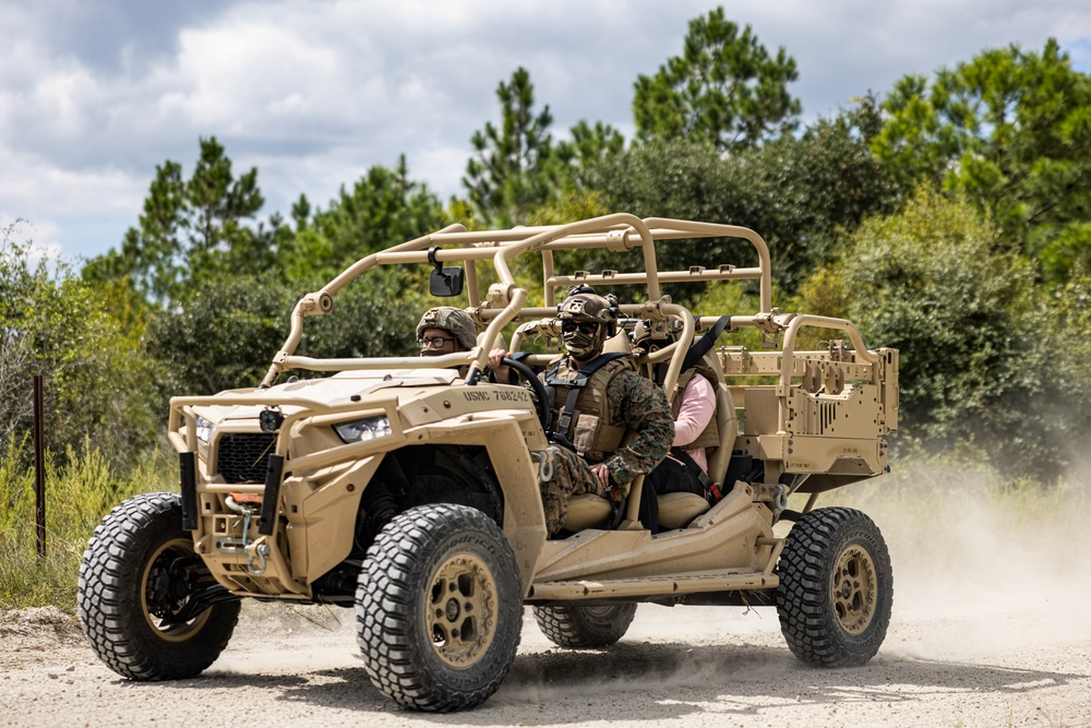 1st Battalion, 2nd Marine Regiment Family Day