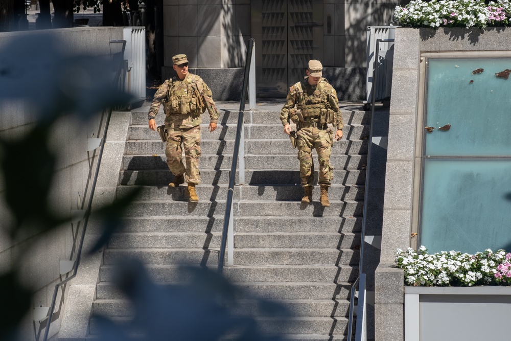 South Carolina Soldiers Patrol the Federal Triangle Metro Station