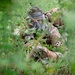U.S., ROKA Soldiers Train Together on Urban Warfare, CWMD During Ulchi Freedom Shield