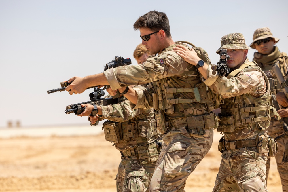 BRIGHT STAR 25: Multinational forces conduct border security operations training
